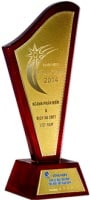Giải thưởng sao khuê 2014