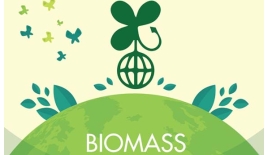 Biomass – Nhiên liệu cho phát triển xanh 