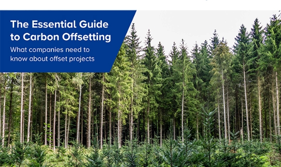 What is Carbon Offsetting? A Guide to Carbon Offsetting for Businesses