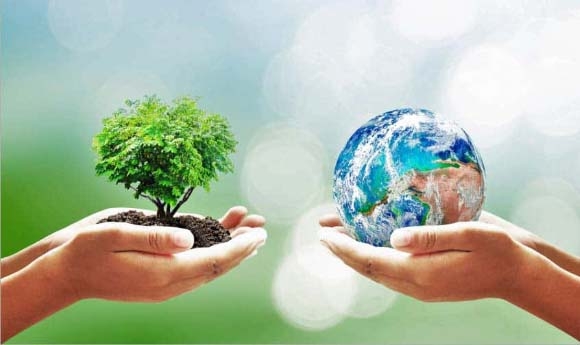 Nghị định 119/2025/NĐ-CP: Việt Nam tăng tốc giảm phát thải,  hướng tới Net Zero