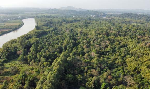 Thông tư số 11/2026/TT-BNNMT: Nền tảng pháp lý then chốt cho thị trường carbon Việt Nam