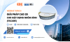 CIC tổ chức thành công Hội thảo trực tuyến: 